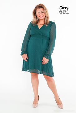 Immagine di PLUS SIZE CHIFFON DRESS